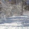 IMG 9458