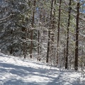 IMG 9459