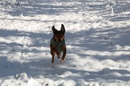 Arlo_Snow_03122022